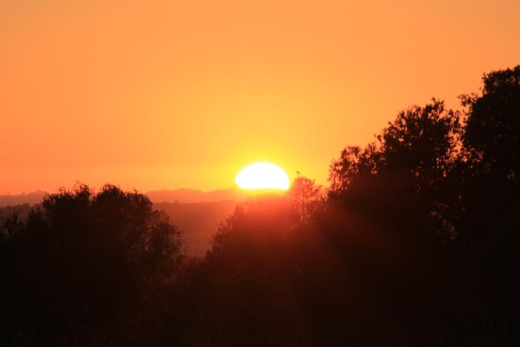 מלון אלבופיירה Sunshine מראה חיצוני תמונה